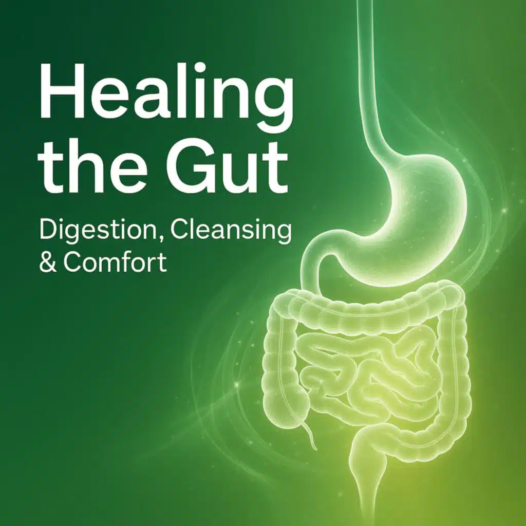 Healing the Gut for Digestion, Cleansing & Comfort
