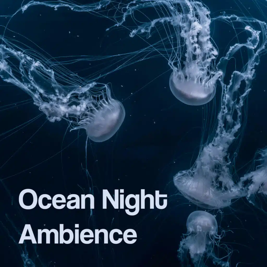 Ocean Night Ambience