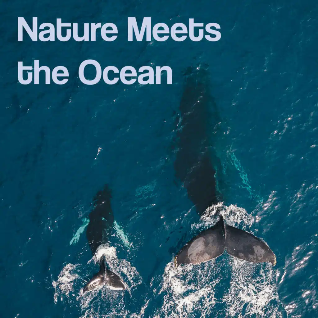 Nature Meets the Ocean