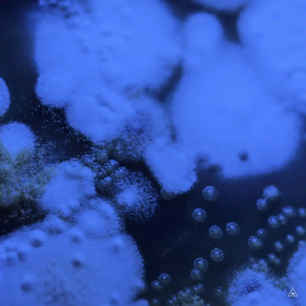 Acid Rush (Extended Mix)