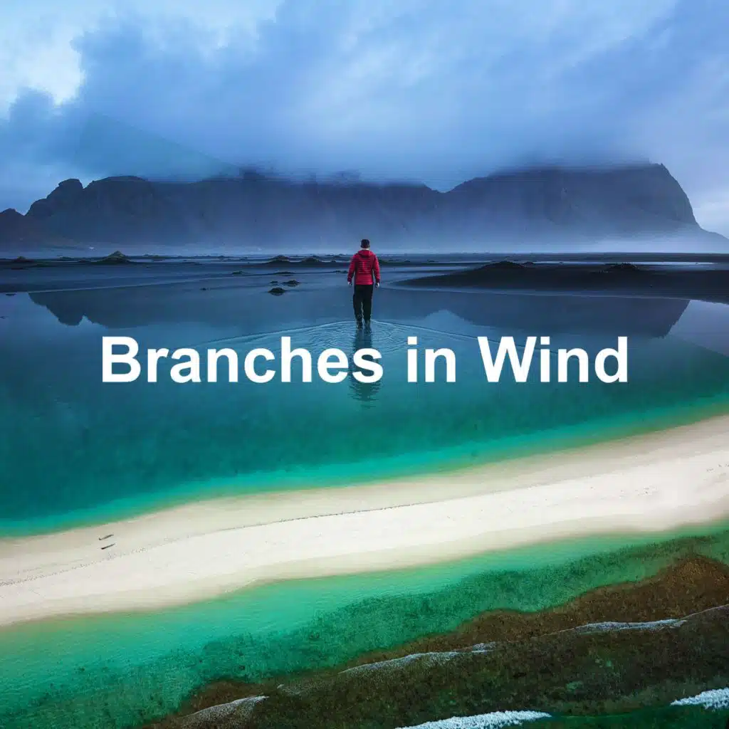 Branches in Wind