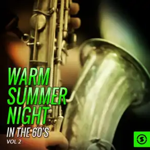Warm Summer Night in the 60's, Vol. 2