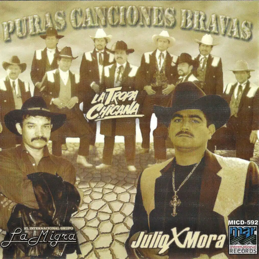 Puras Canciones Bravas
