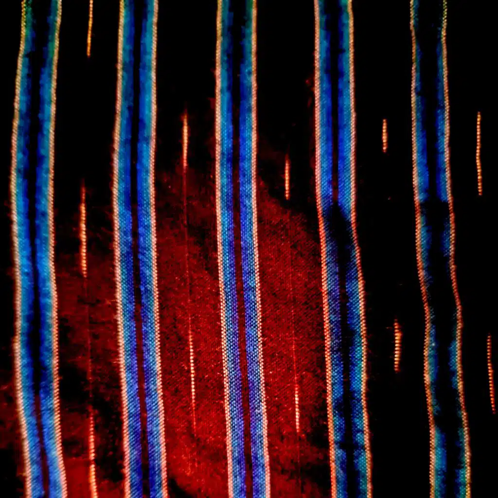 With Every Struggle We'll Remain