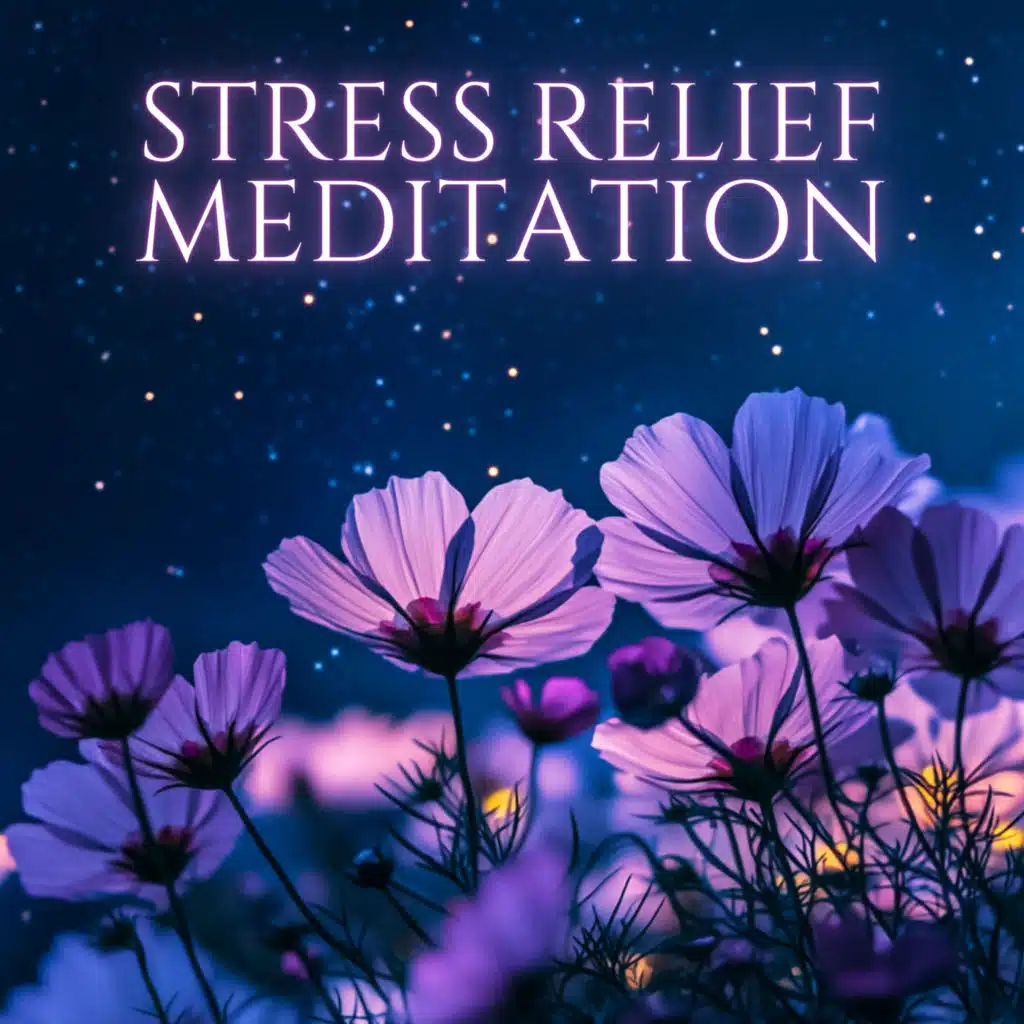 Stress Relief Meditation