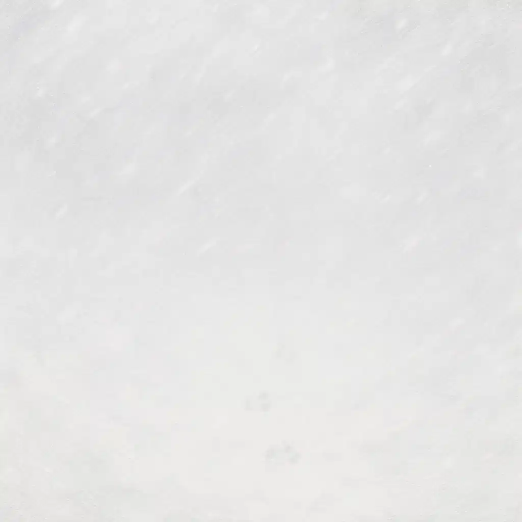 Weißes Kaninchen im Schneesturm (Unaufgenommene Songs)