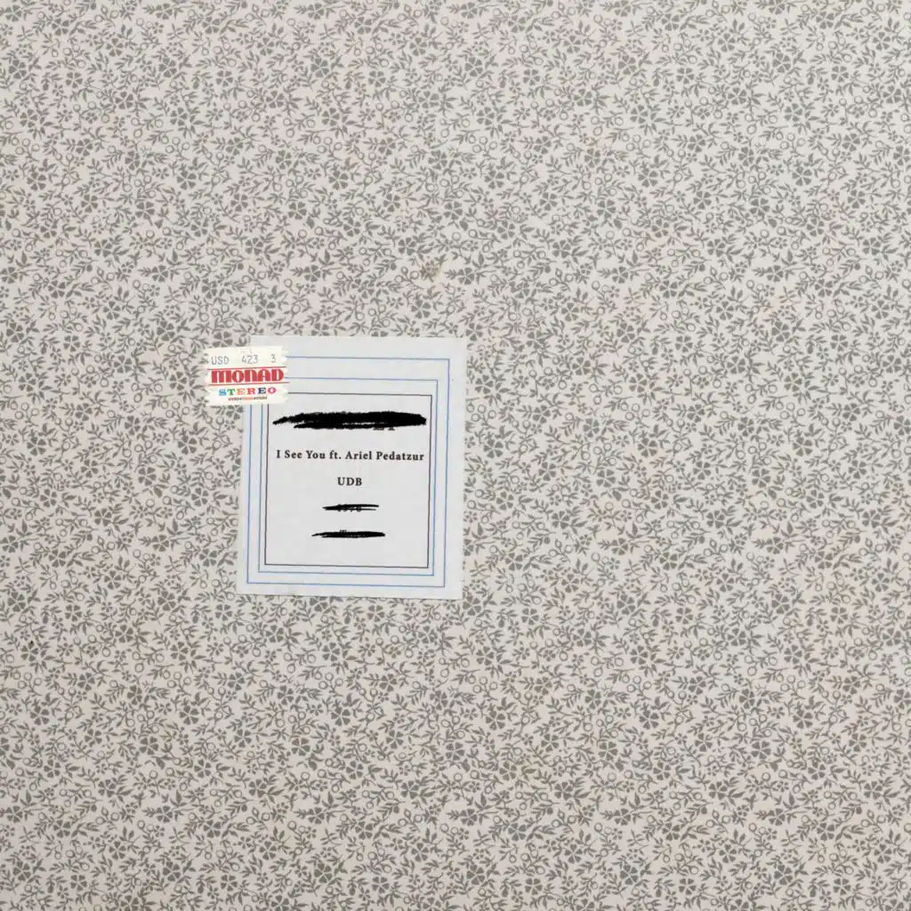 I See You (feat. Ariel Pedatzur)