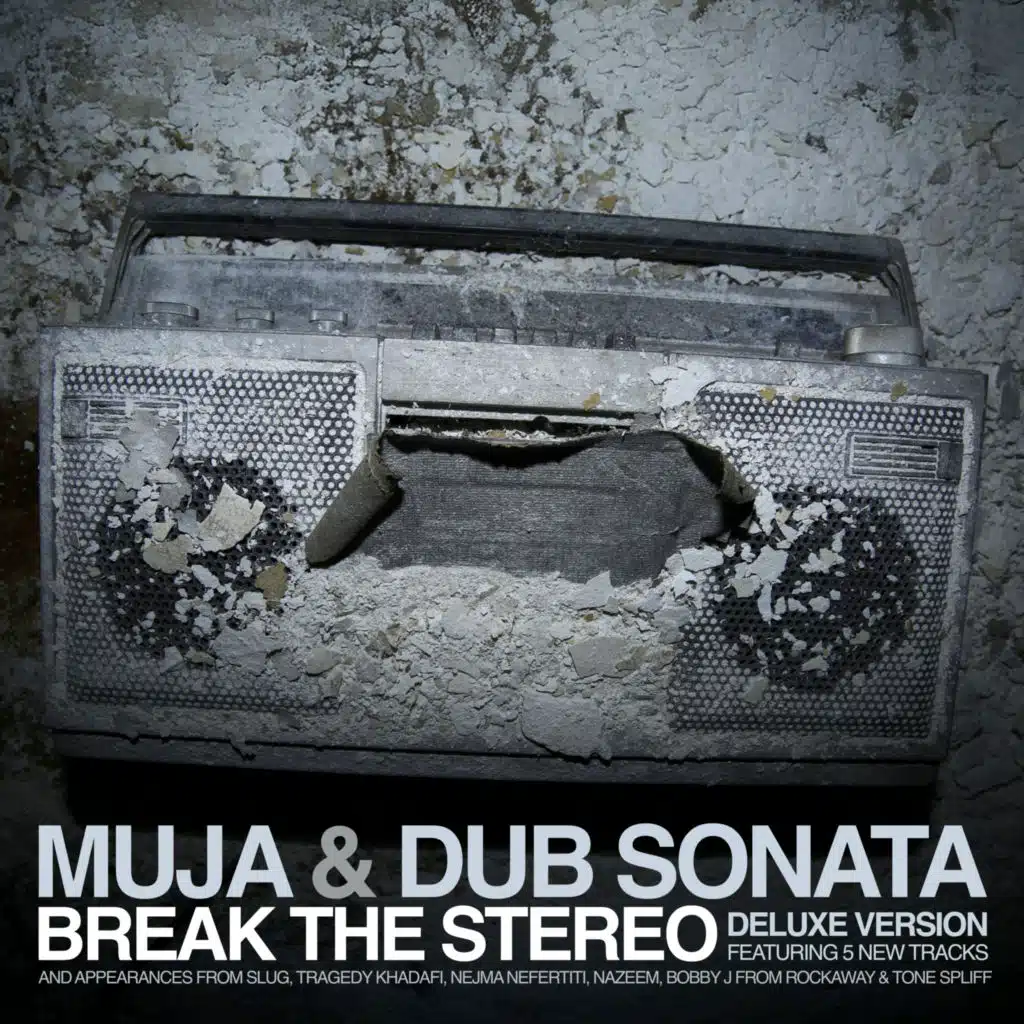 Break The Stereo (Deluxe)
