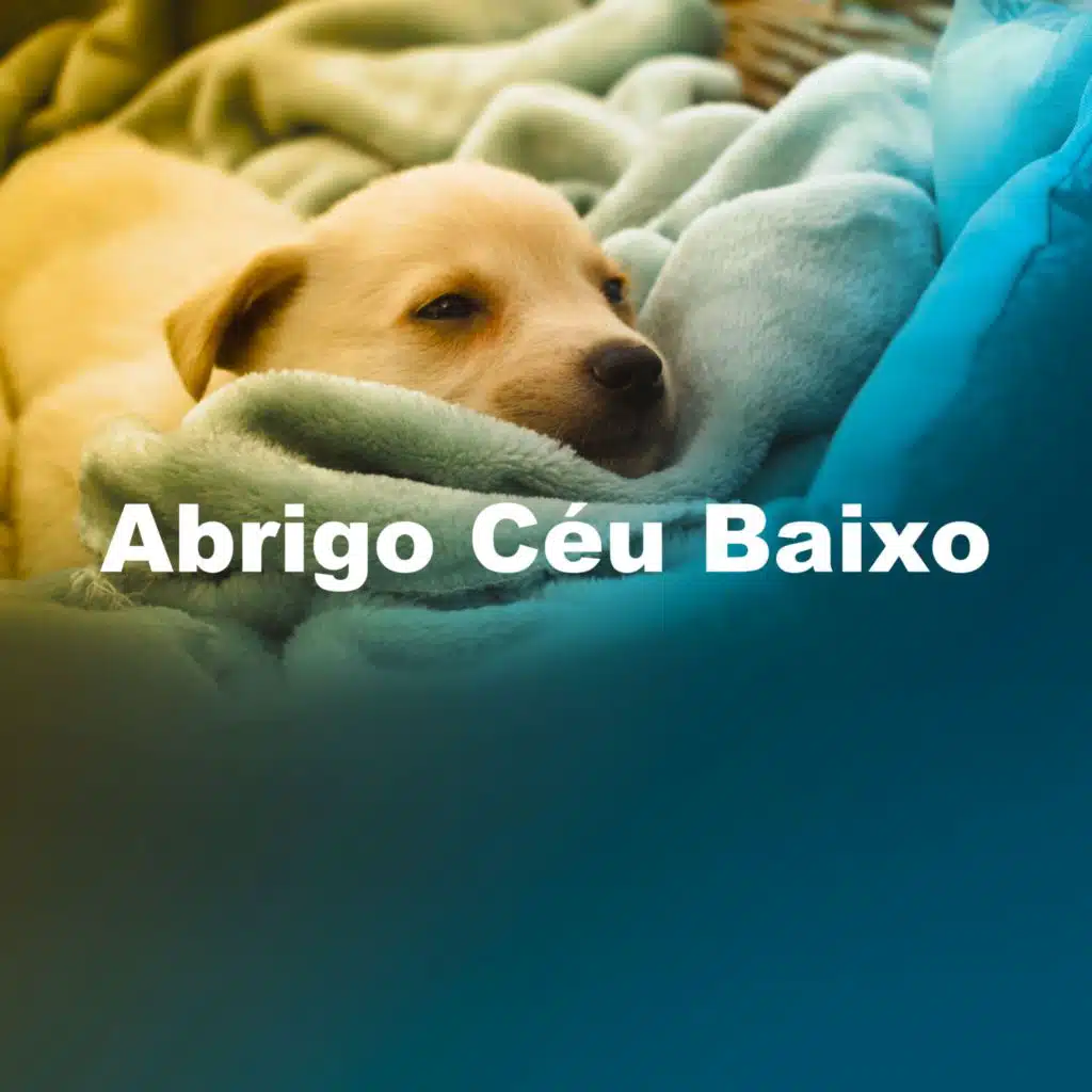Abrigo Céu Baixo