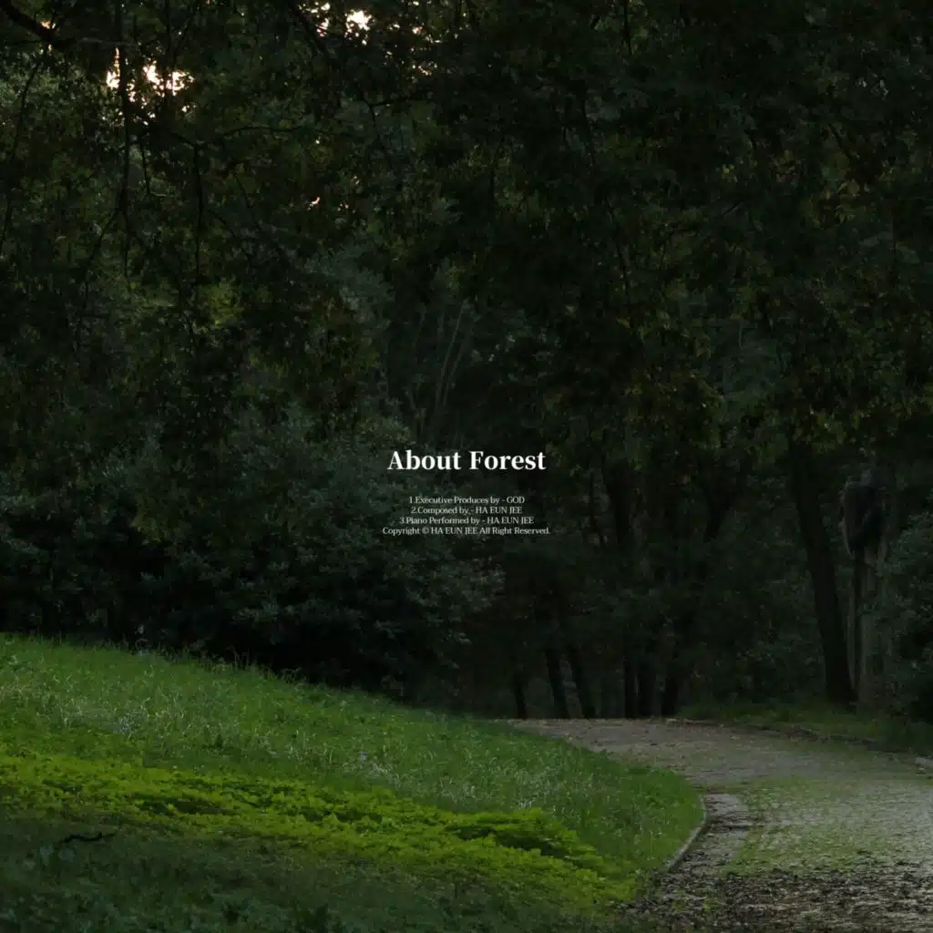 About Forest (Cello Ver.)