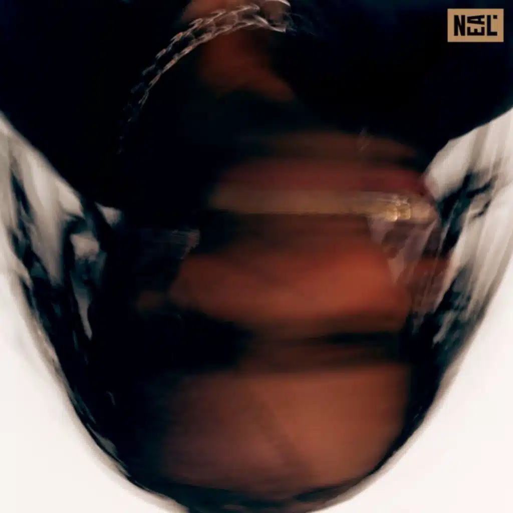 Baker Boy, Briggs & Haiku Hands