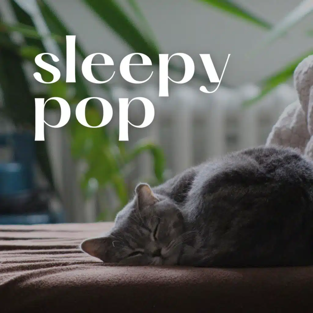 sleepy pop