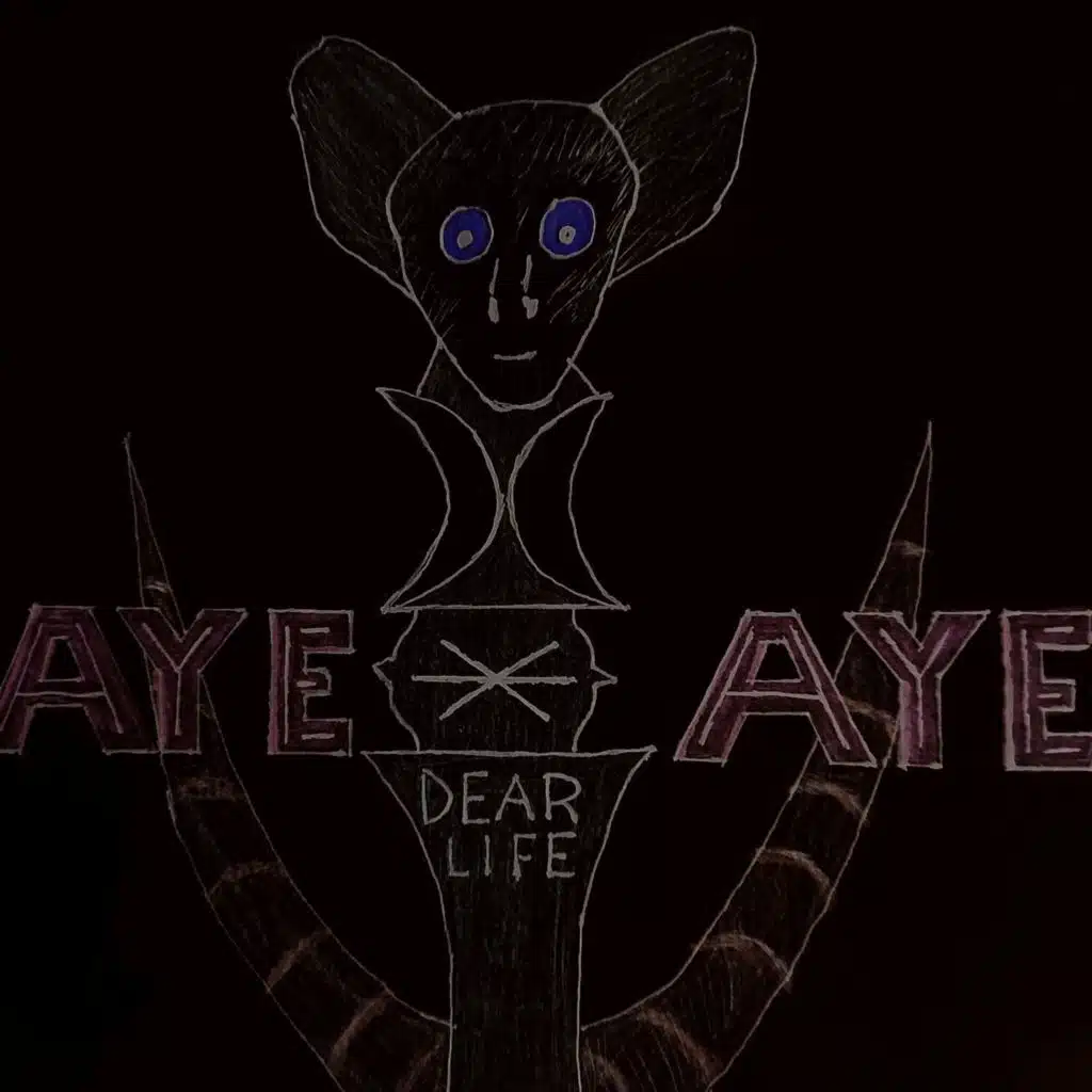 Aye-Aye