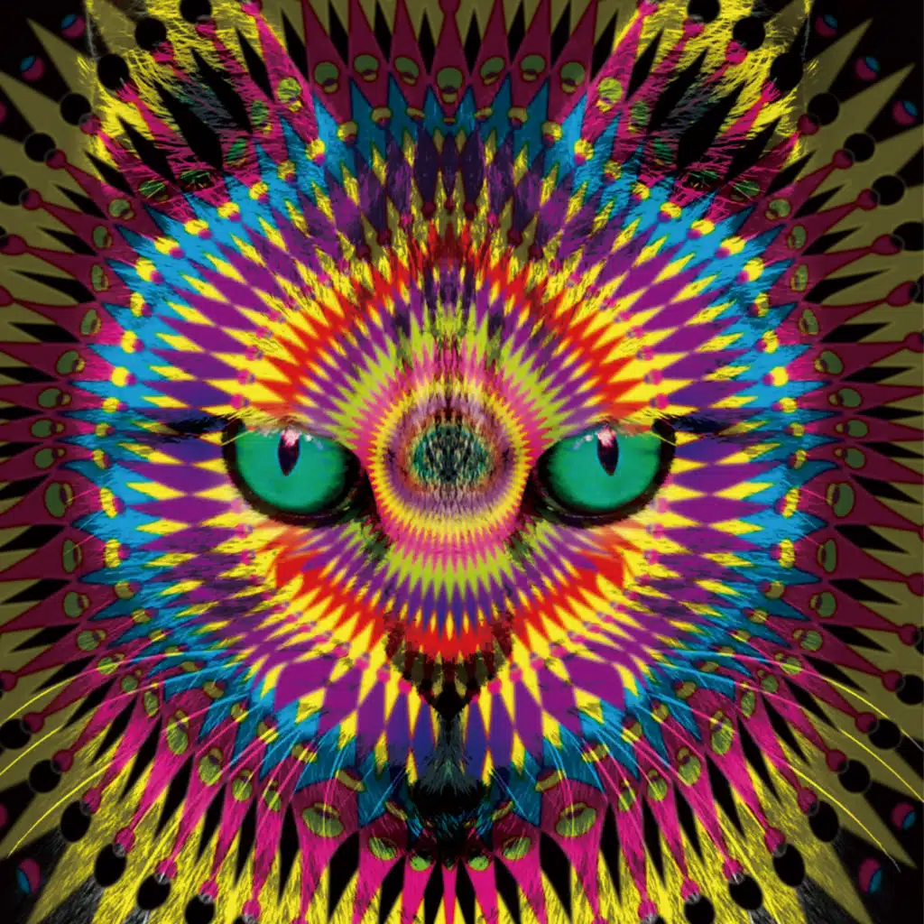 Playear（初回限定盤）