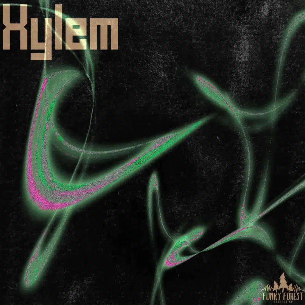 Xylem