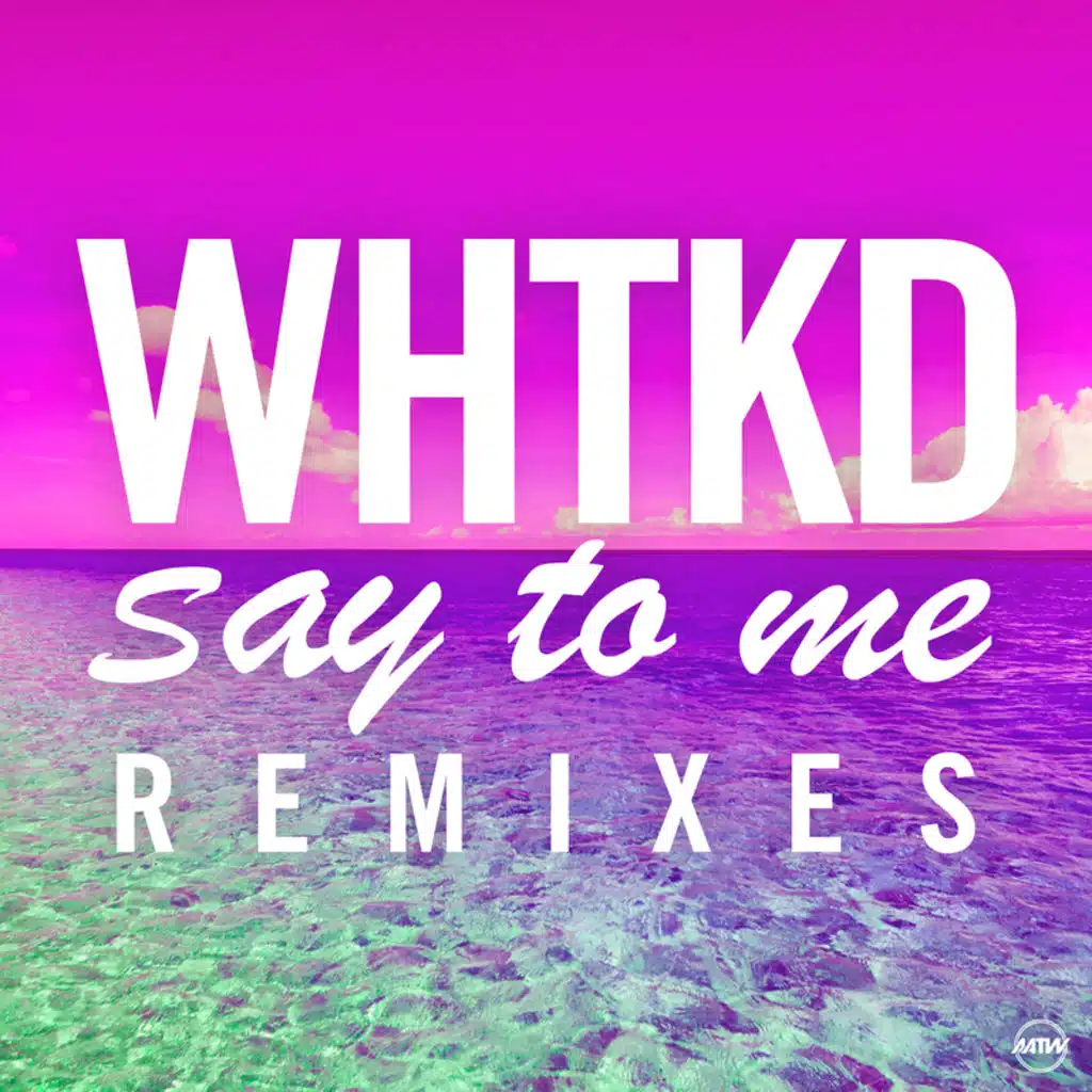 Say To Me (T2 Remix)