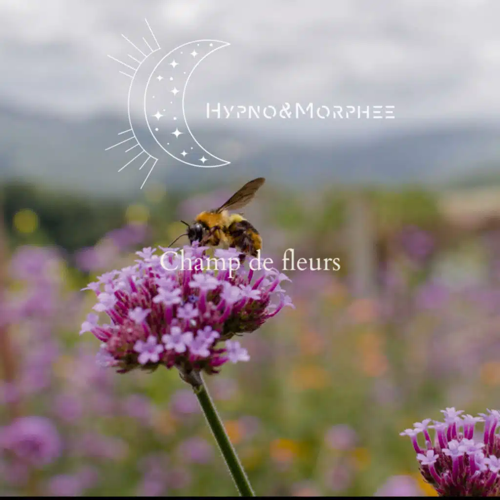 #184 Do Toxic Chemicals Fuel Anxiety? Finding Calm Amidst the Chaos of Information