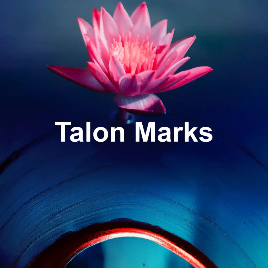 Talon Marks