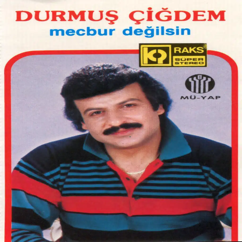 Mecbur Değilsin