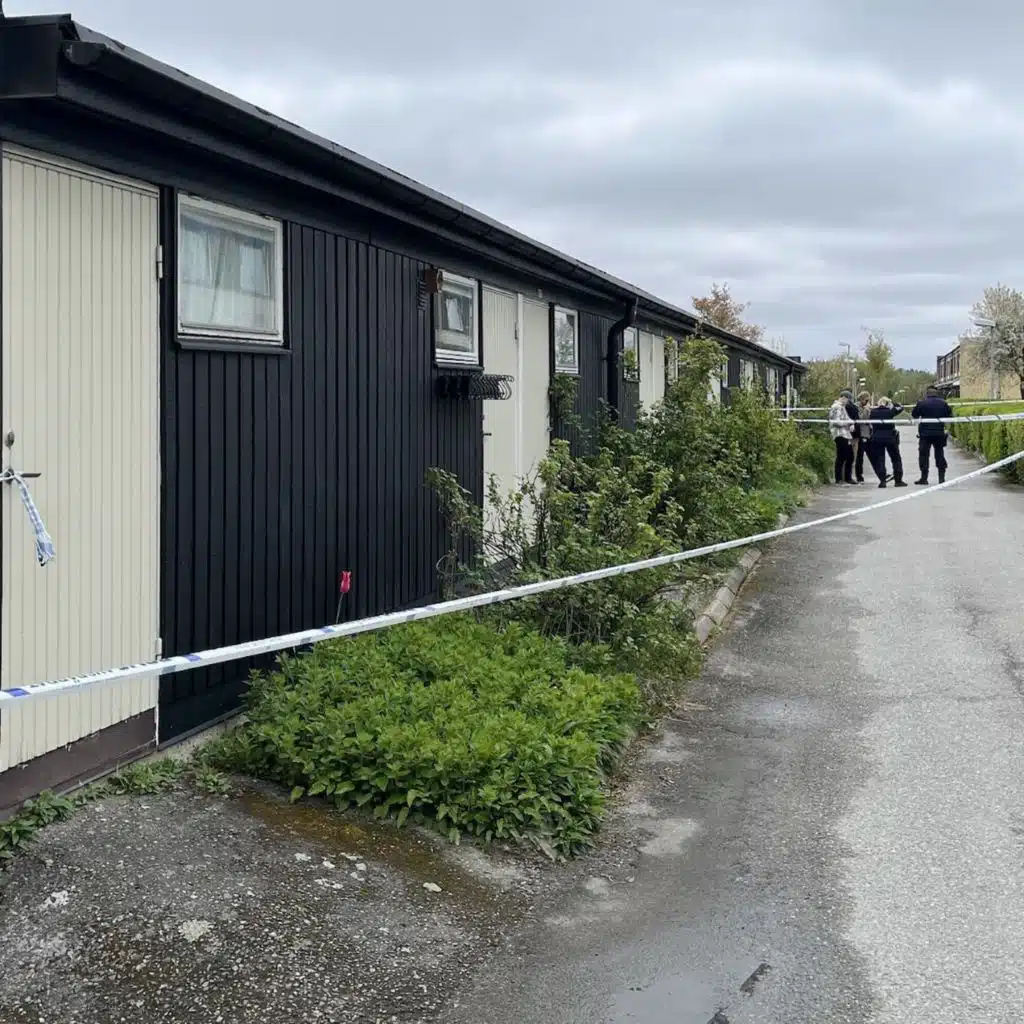 WOFF Dispatch: Minigames