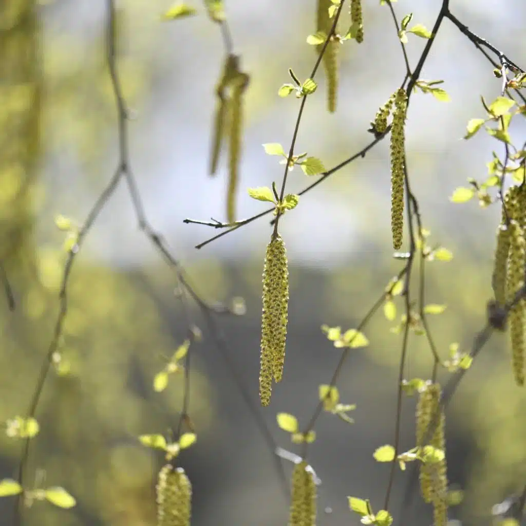 Accelerating action: leading the change