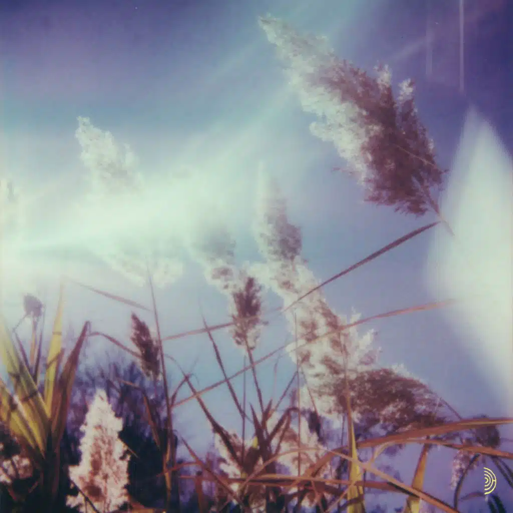 Ersatz Immortality (Clarice Jensen Version)