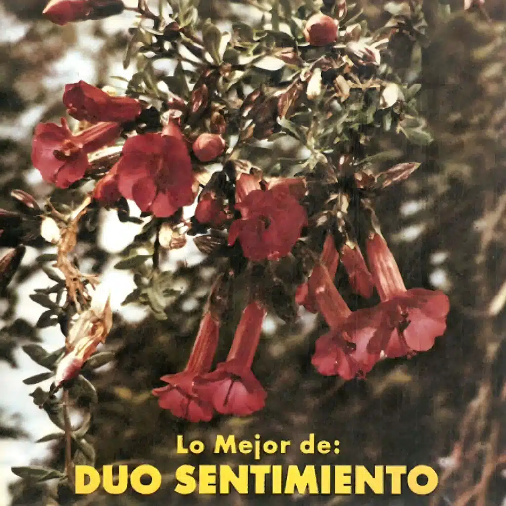 Lo Mejor de Dúo Sentimiento