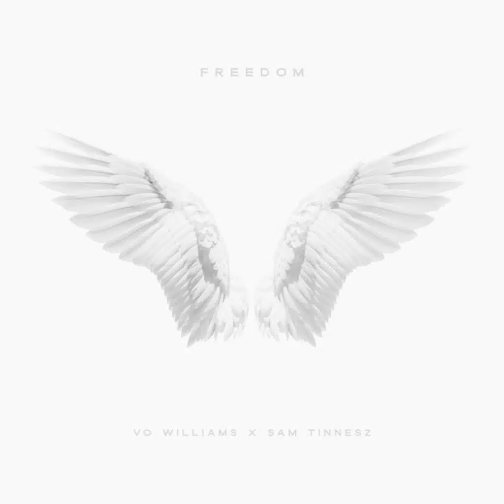 Vo Williams & Sam Tinnesz