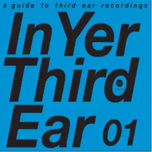 In Yer Third Ear 01