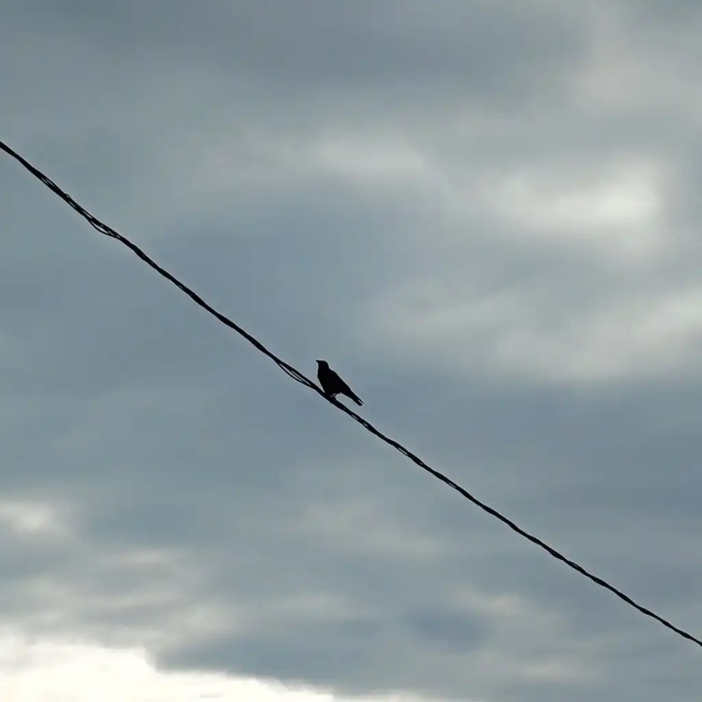 SWA