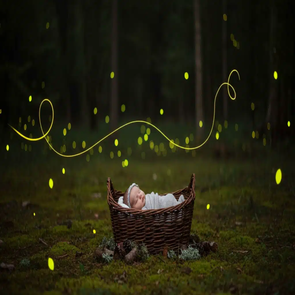 Little Lights, Big Dreams