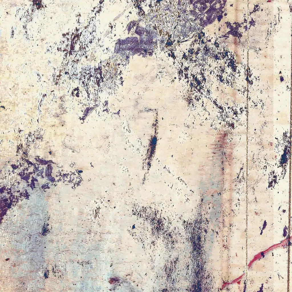 Les couleurs du feu (Live)