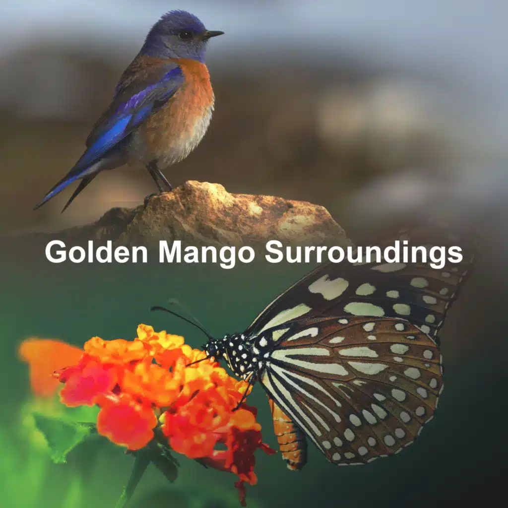 Golden Mango Surroundings