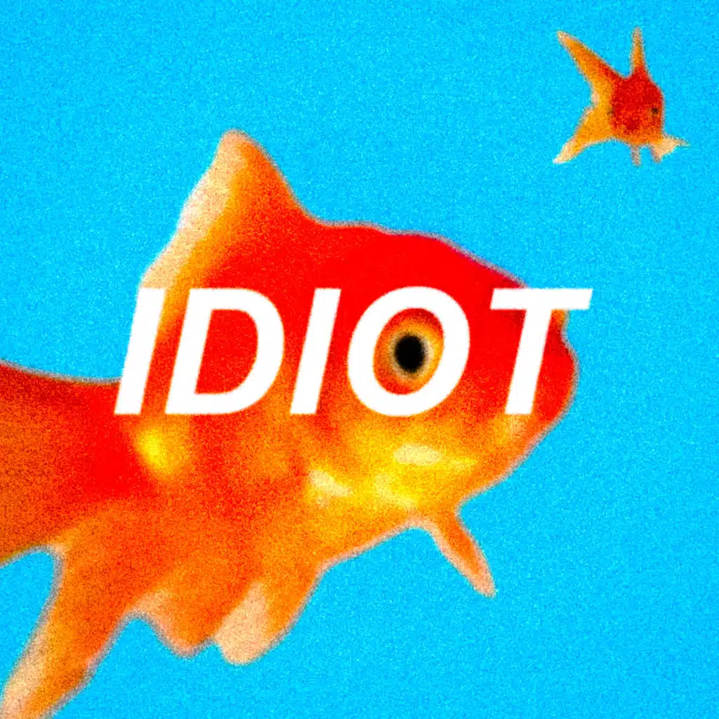 idiot