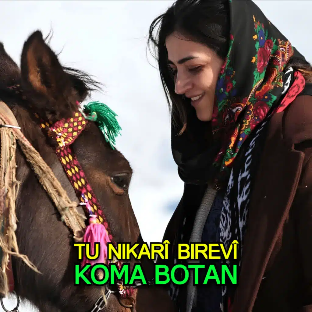 Tu Nikarî Birevî