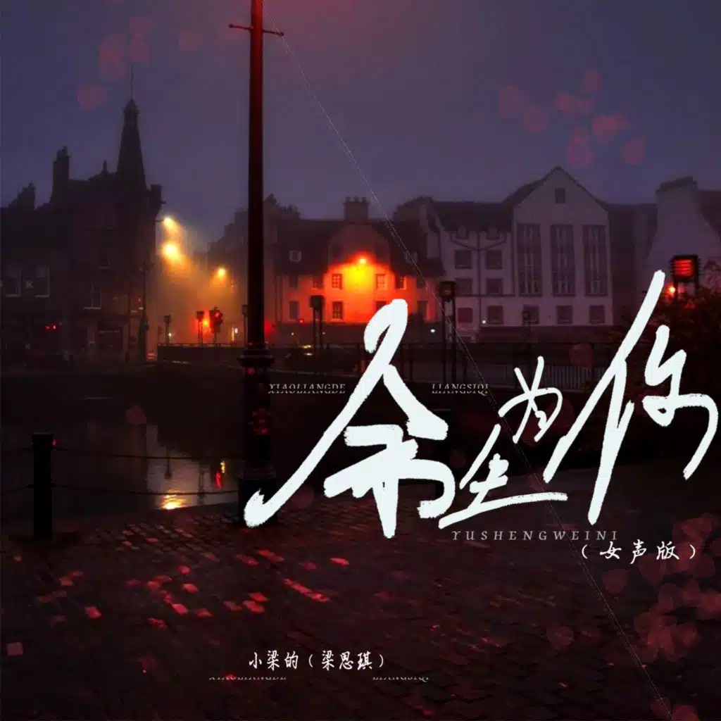 余生为你 (DJ Eva版)