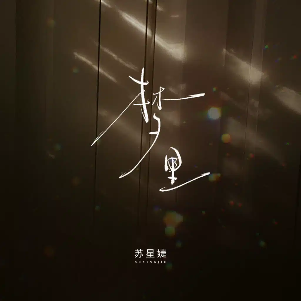 梦里