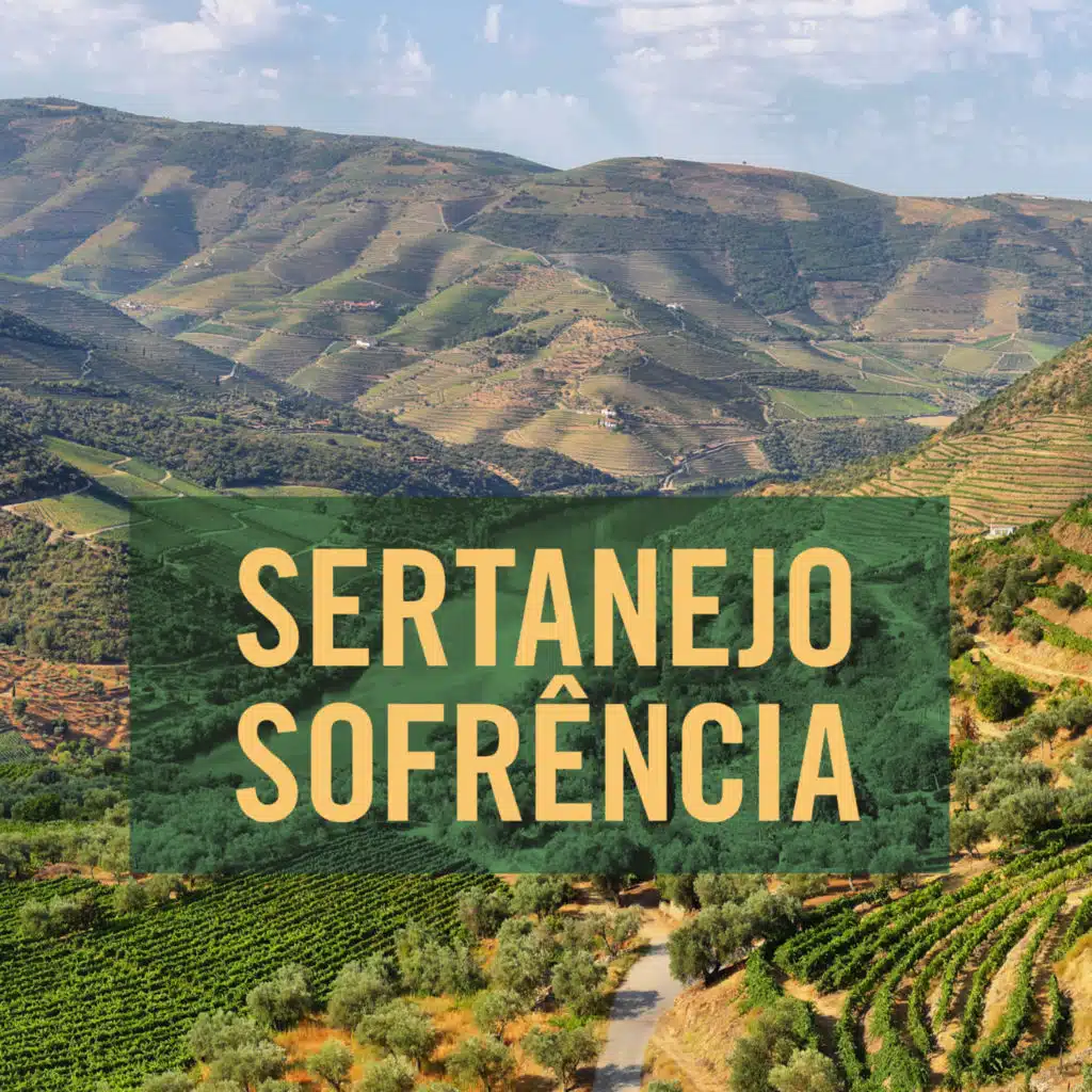 Sertanejo Sofrência
