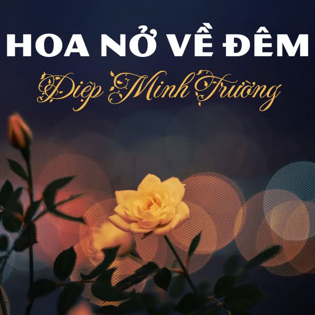 Hoa Nở Về Đêm