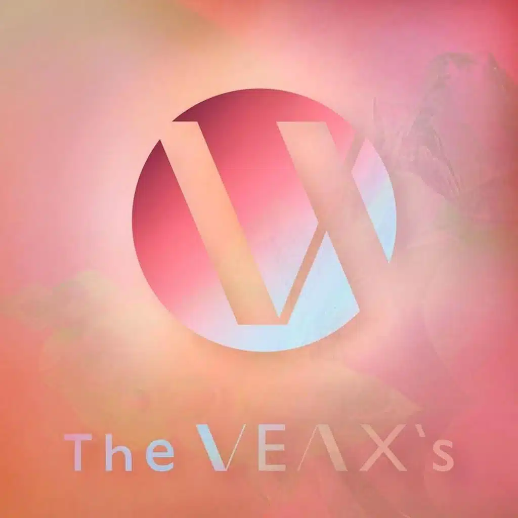 The Veax's 프로듀서 컴필레이션