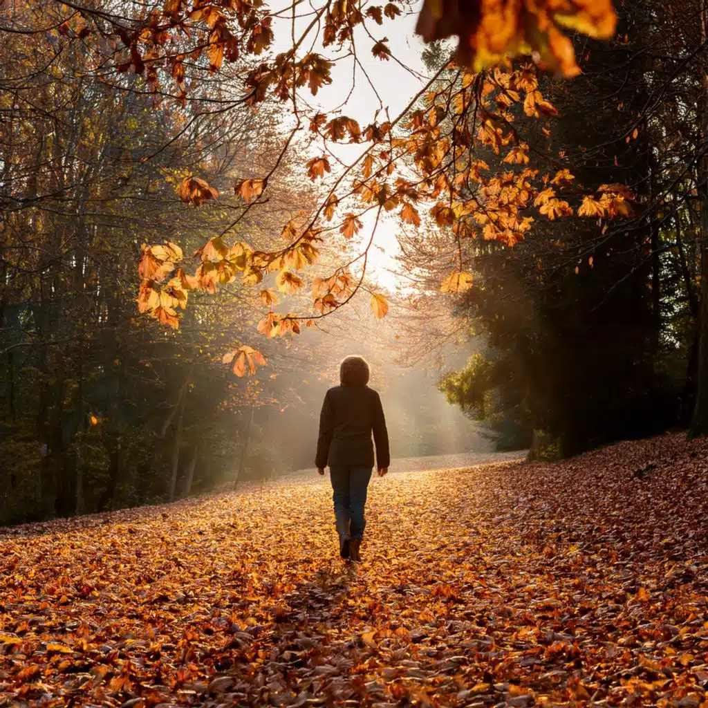 Music For Relaxation In The Silence Of Still Air