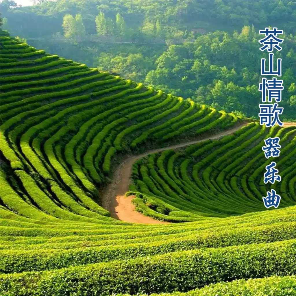 茶山情歌 (器乐曲)
