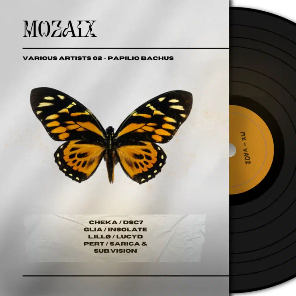 MX - VA02 PAPILIO BACHUS