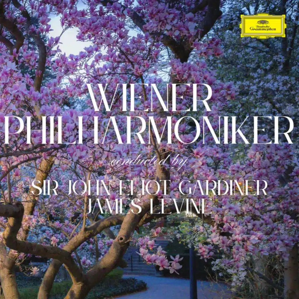 Wiener Philharmoniker - Gardiner/Levine