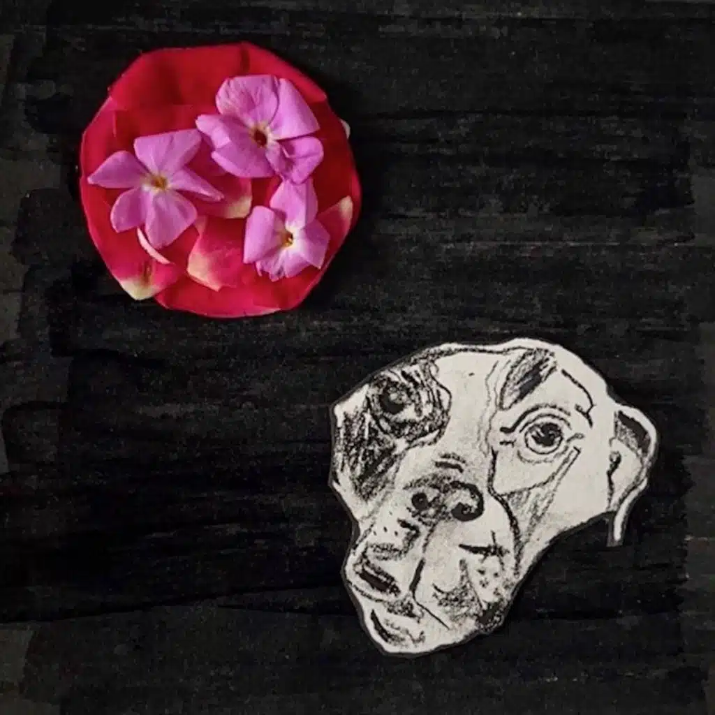 My Dog Ate My Hard Drive