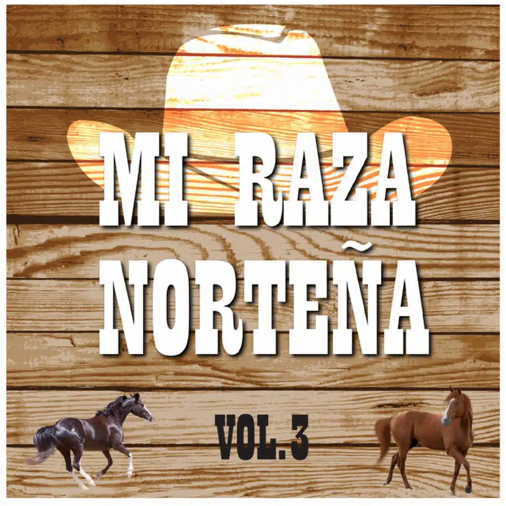 Mi Raza Norteña, Vol. 3
