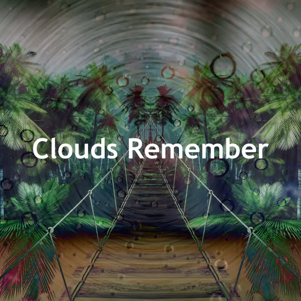Clouds Remember