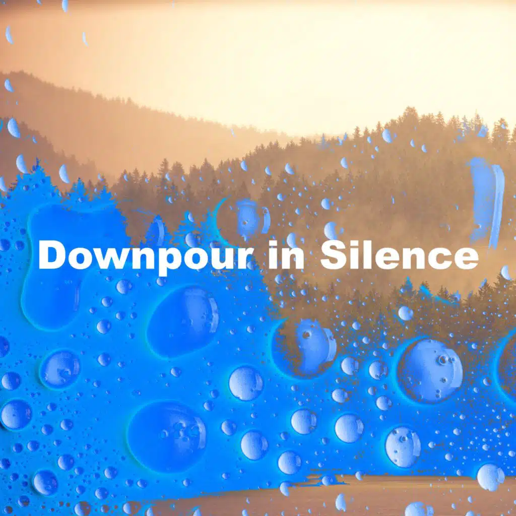 Downpour in Silence