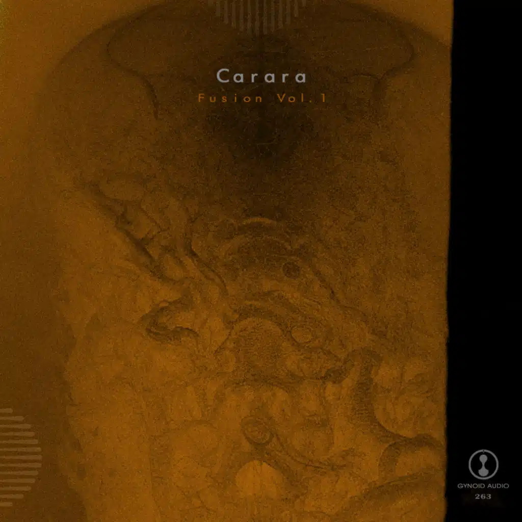 Fusion, Vol. 1