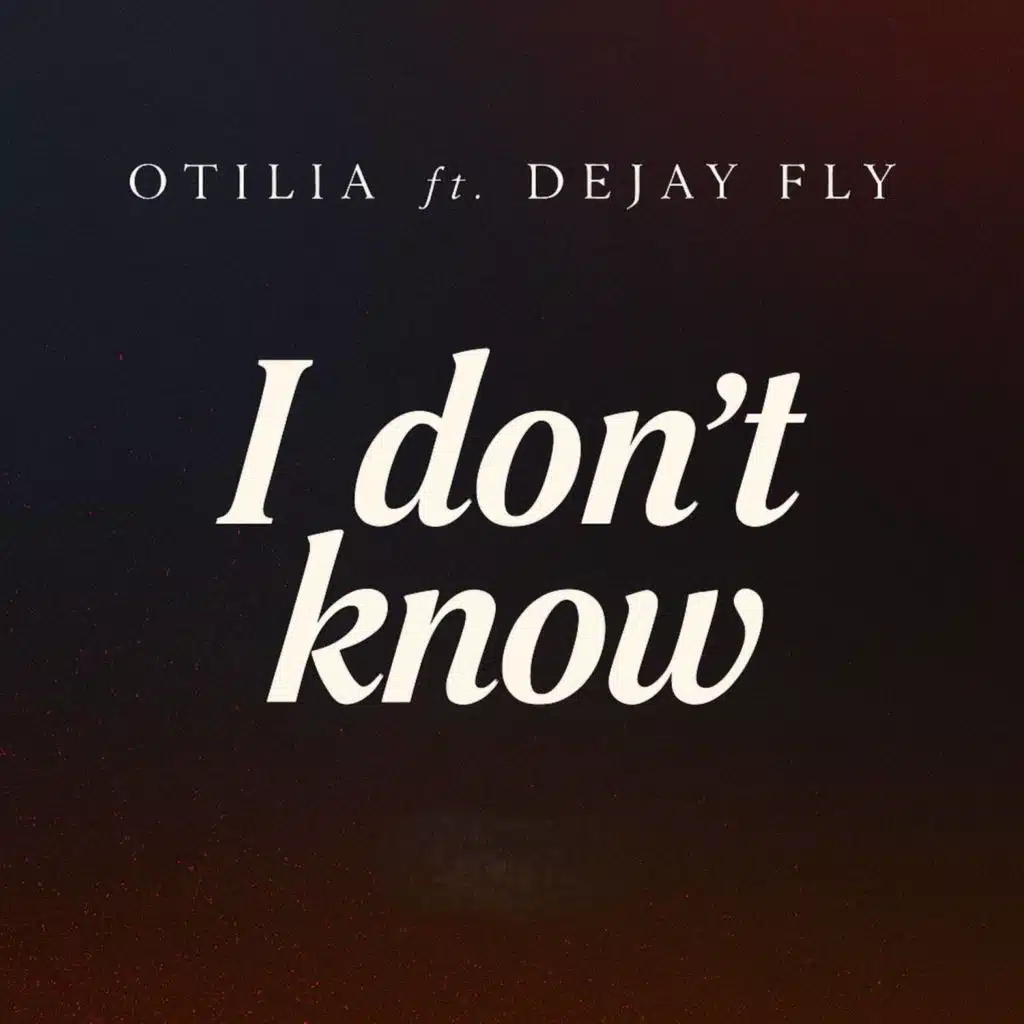 I Don't Know (Radio Edit) [feat. Deejay Fly]